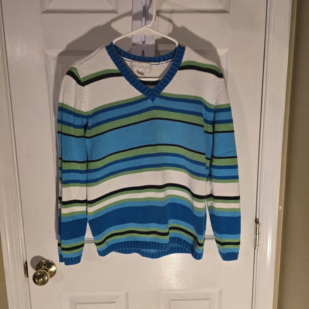 Petite Sophisticate Womens Blue Green Striped V-Neck Cotton Knit Sweater Small